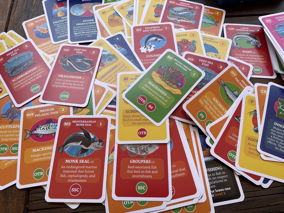 OGS_IT's tweet image. 🎲Con &quot;Fish n&apos; Ships&quot;, l&apos;OGS e White Cocal Press approdano nel Mar Egeo.

🐟🚢 Il gioco didattico di carte, già apprezzato per le edizioni sul Mar Adriatico e il Benguela, si arricchisce di una versione in inglese e greco, promuovendo la scienza e la sensibilizzazione ambientale.