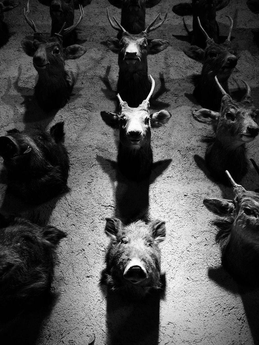 SHINGO@様、専用ページでございます。 shichigoro-shingo (@shichigoro756) / Posts / X