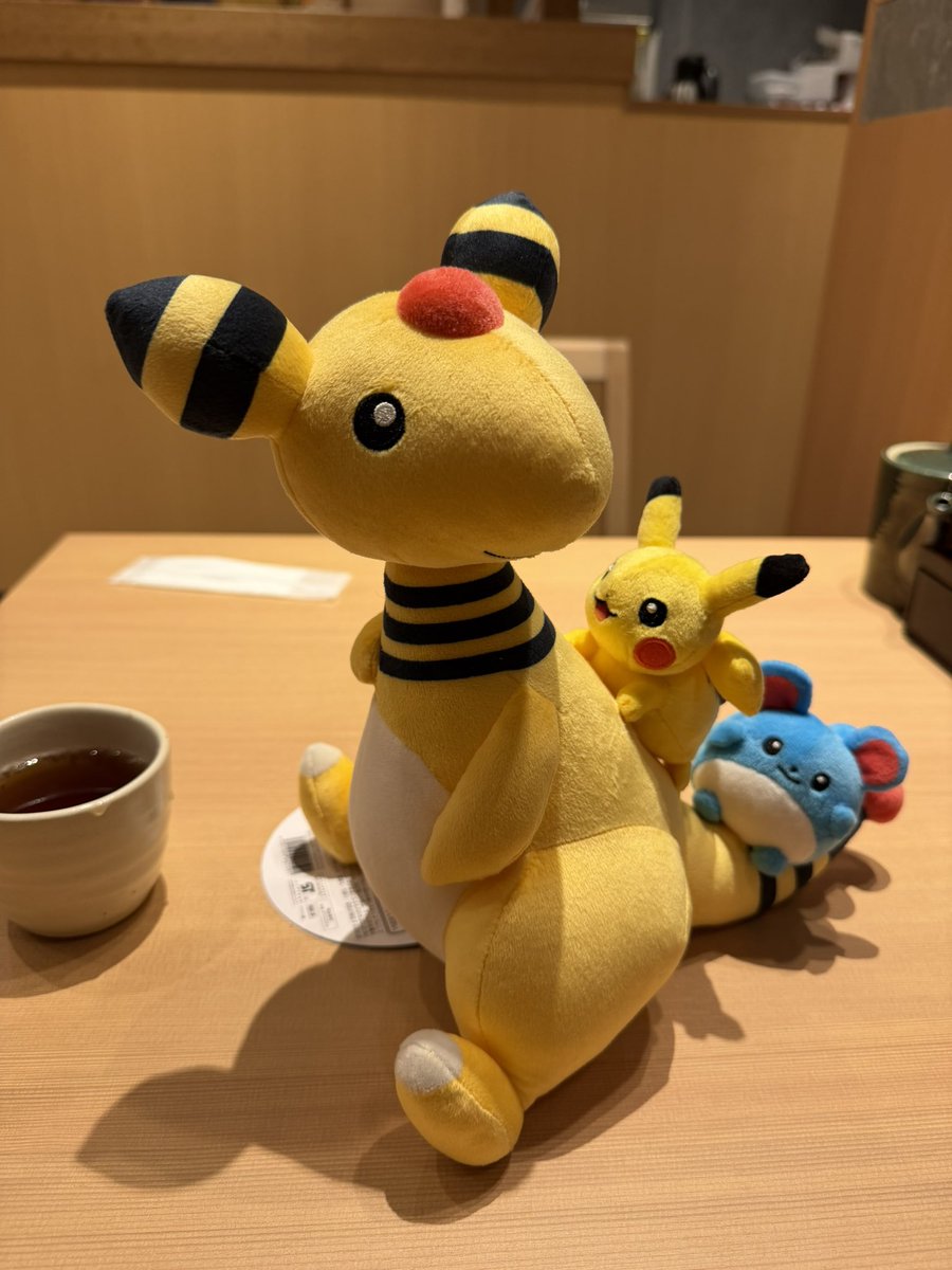 Took an hour long train ride to Tokyo Bay to meet Ampharos and it was absolutely worth it