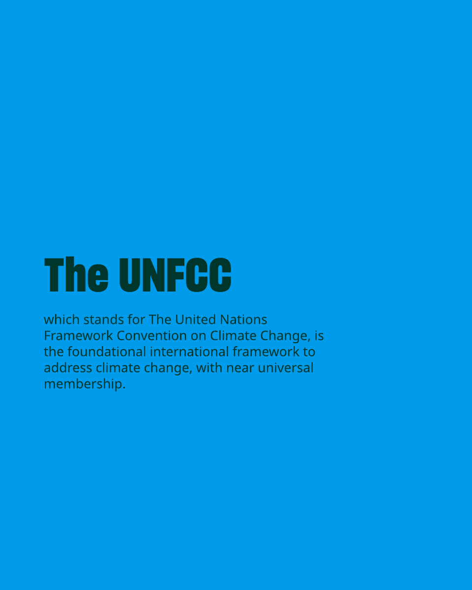 humaneworldeu's tweet image. You might have heard of COP30 in the news. But what does COP mean and why should you care? Swipe left on the image to find out.⁣
⁣
#COP30 #ClimateAction #Sustainability #PlantBased #AnimalWelfare #FarmAnimals #ClimateChange #Belém2025 #GlobalGoals