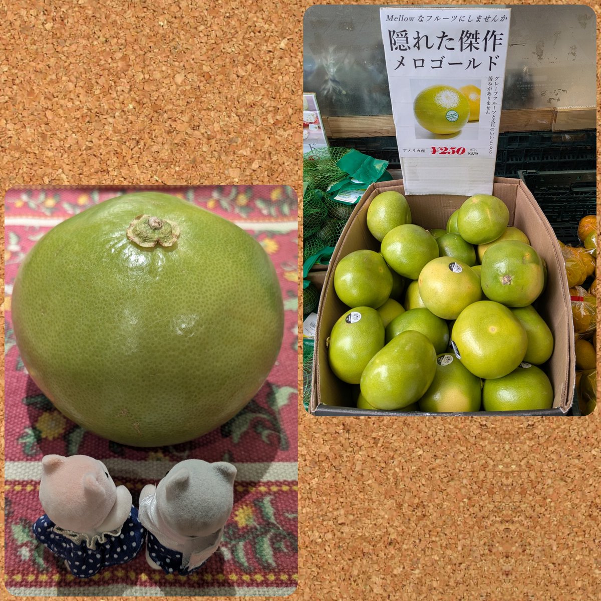 府中市美術館で「フジタからはじまる猫の絵画史　藤田嗣治と洋画家たちの猫」→府中乃森珈琲店→TOKYO PiXEL. shop &amp; galleryでカマノレイコさん個展「日常は、まるで映画のよう」で🐱まみれday。美術館からの帰り道、サワーポメロに似たメロゴールドを買いました。初めて見た！