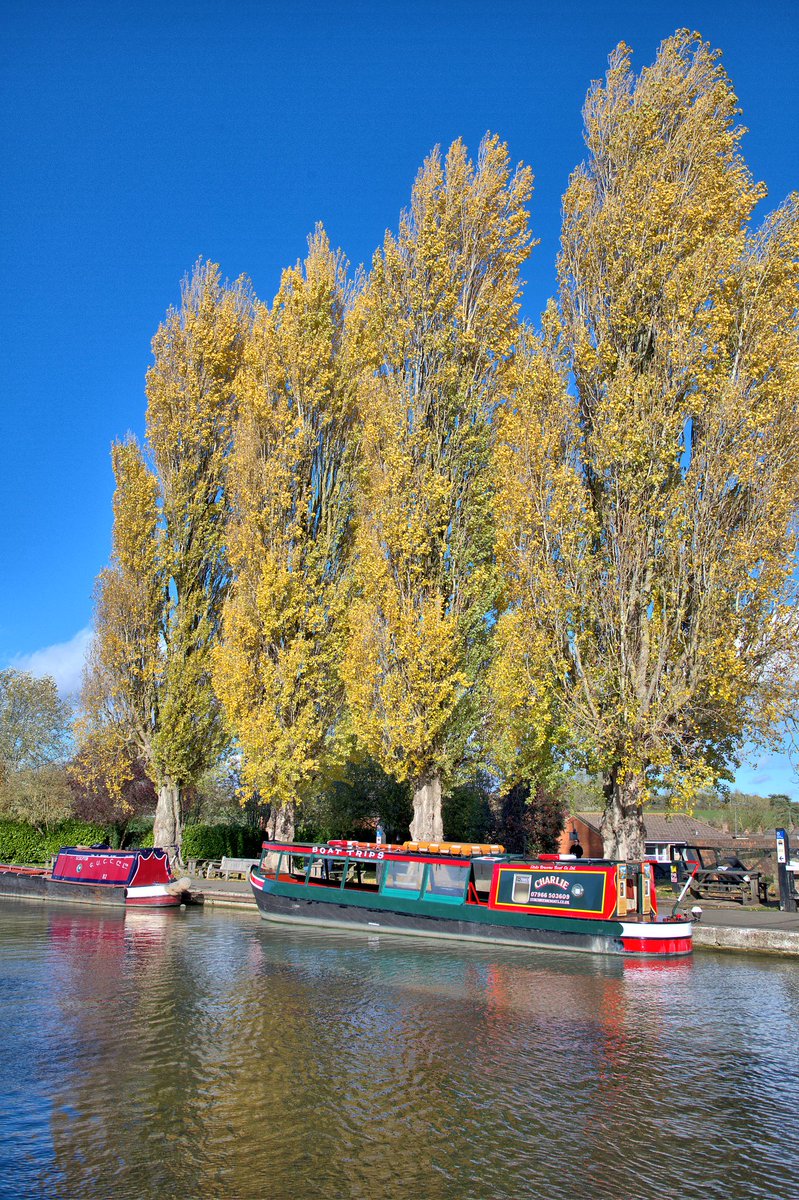 A gorgeous #Autumn day at Stoke Bruerne along the Grand Union Canal.
#chasingtheboats 
#canalphotography 
<a href="/CanalRiverTrust/">Canal & River Trust</a> 
<a href="/StokeBruerne01/">Stoke Bruerne Canal Village</a> 
<a href="/NorthamptonUK/">Northampton - Northants Live</a> 
<a href="/ChronandEcho/">Northampton Chron</a> 
<a href="/BBCNorthampton/">BBC Northamptonshire</a>