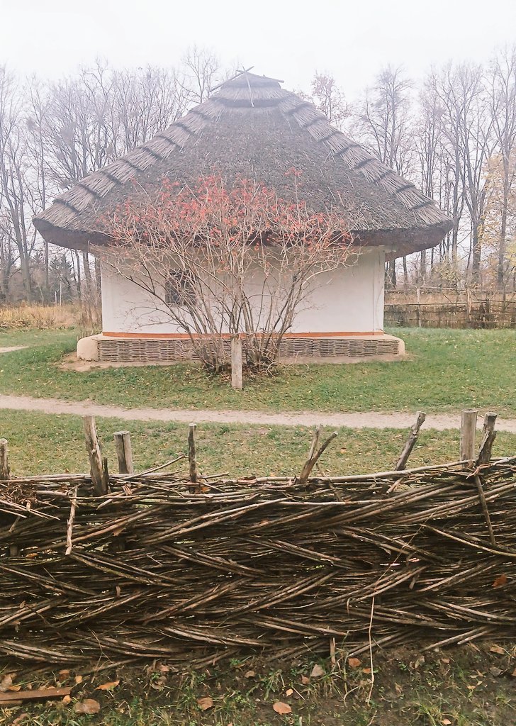 Калина біля хати родичів Тараса Шевченка