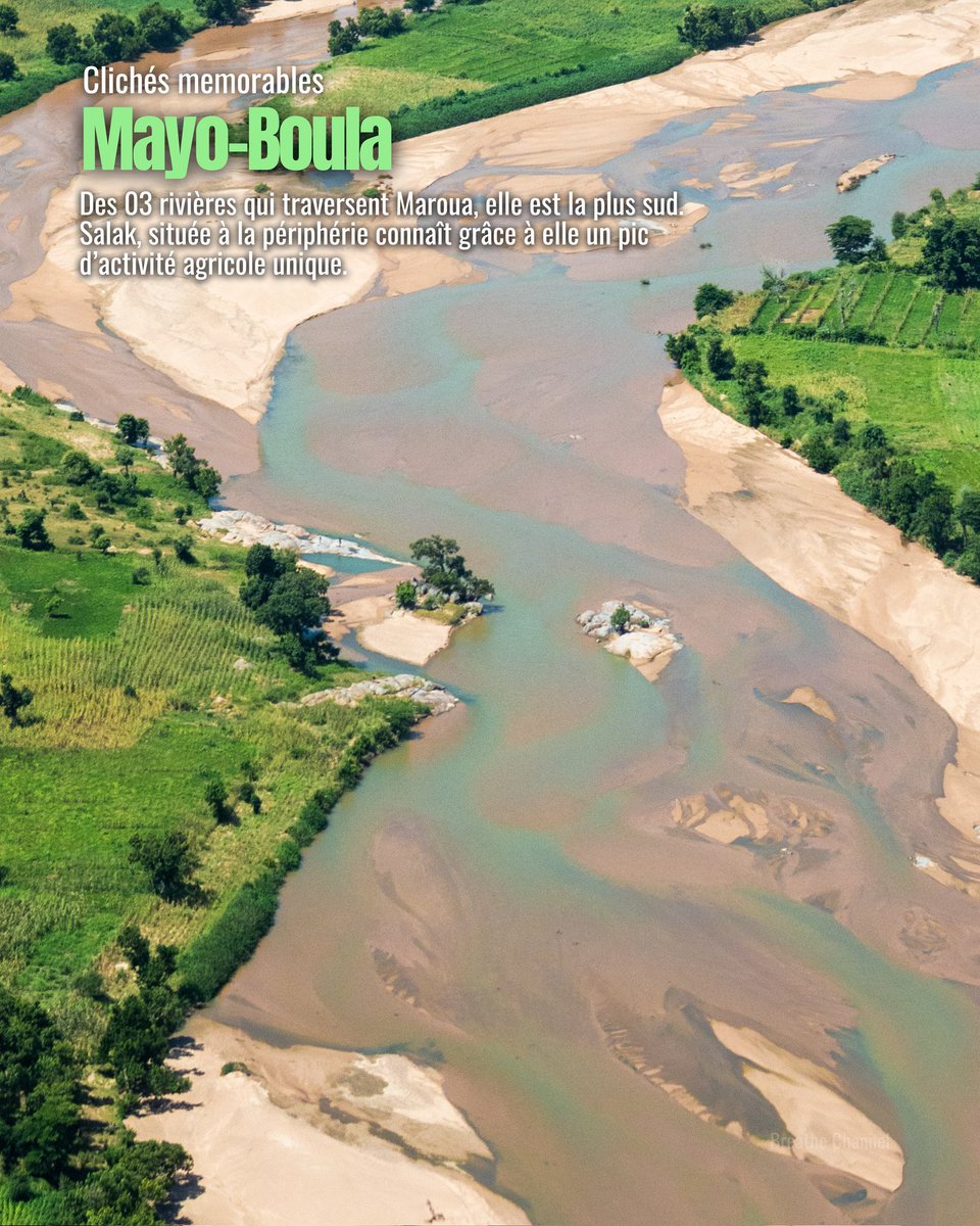 Eric Joel Manej tweet media