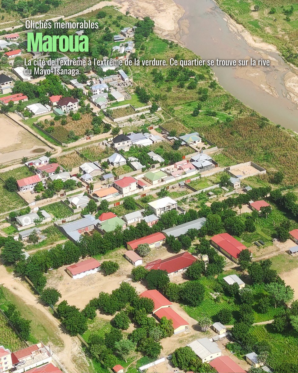 Eric Joel Manej tweet media