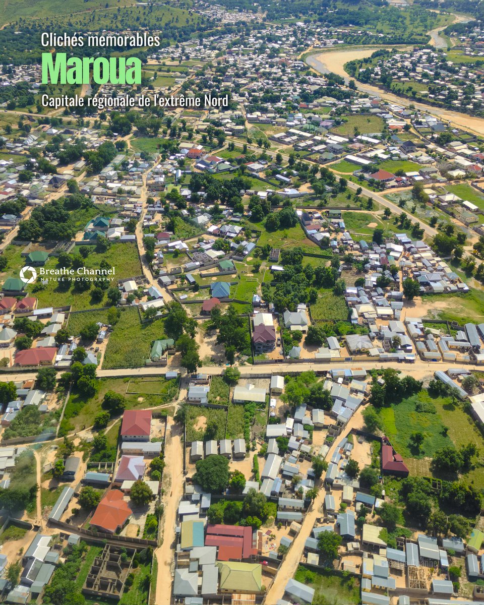 Eric Joel Manej tweet media