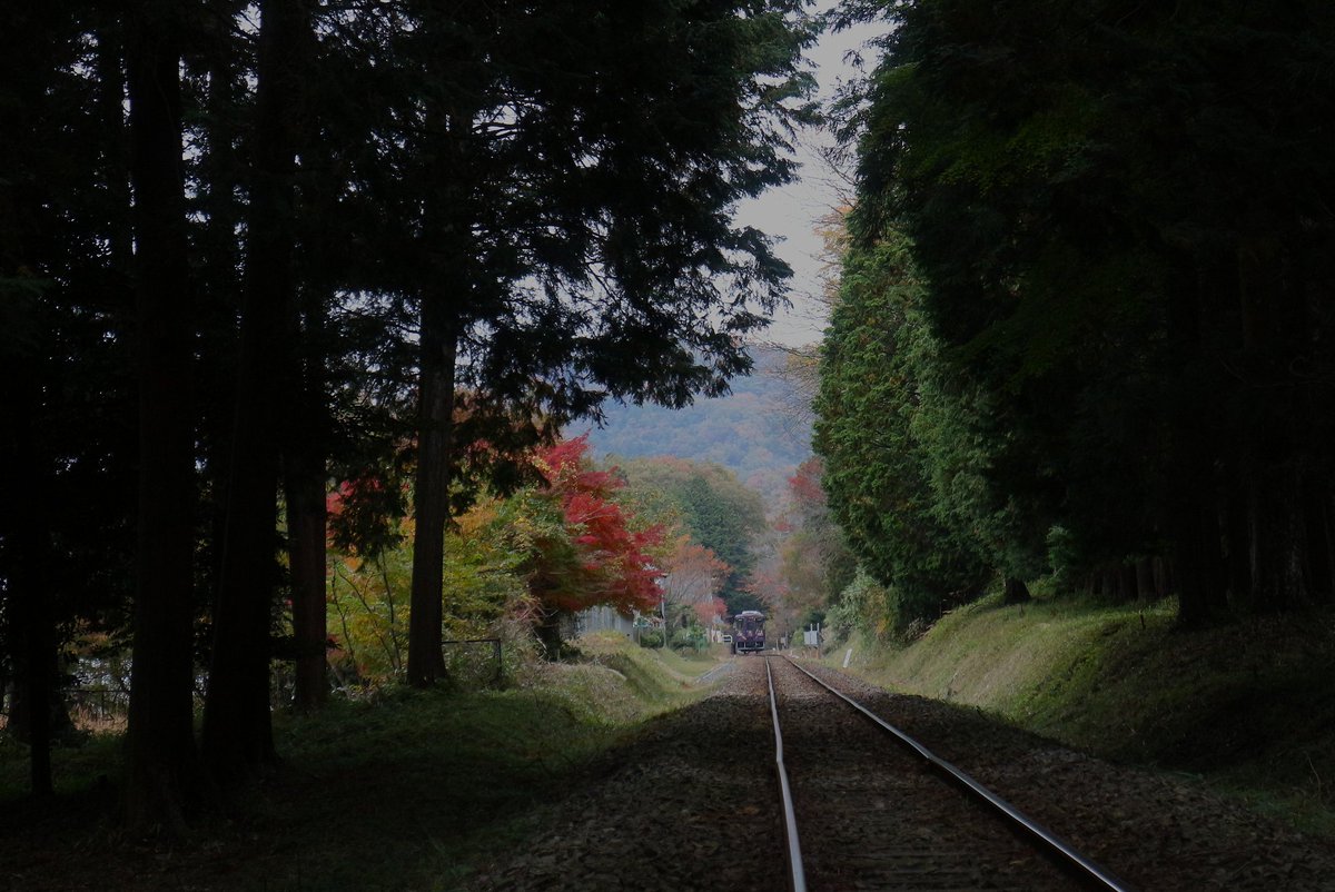 きしゃとも (@d51tom) / Posts / X