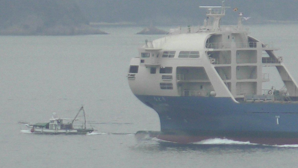 井本商運株式会社／Imoto Lines, Ltd. (@ImotoLines_OA) / Posts / X