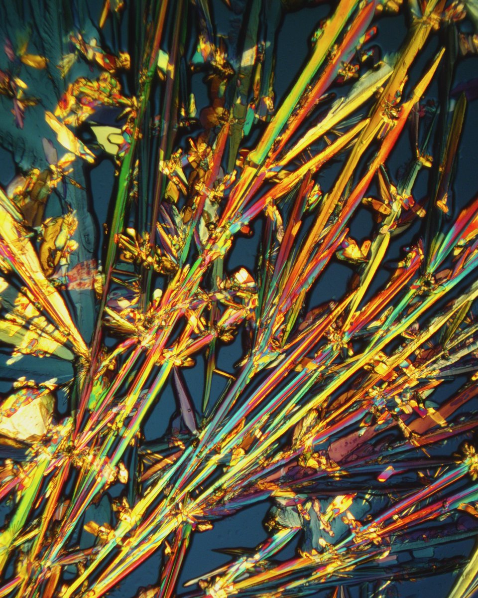 ivan_amato's tweet photo. Amino Acid Thicketry. Here, the combo of two amino acids, alanine and glutamine, which are buildings blocks of the proteins underlying life, recrystallized from a solution in Mezcal into a composition of embellished stalks. The area shown is the size of a bee's eye. https://t.co/4fEpiPSrIF