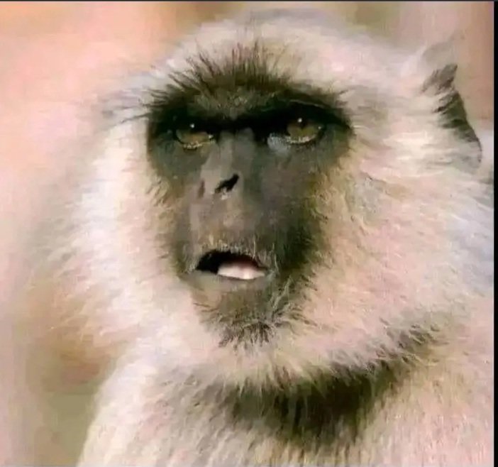 Stephenjerry001's tweet image. An $OFC fudder at TGE.

🤣🤣
#더블유 #OFC