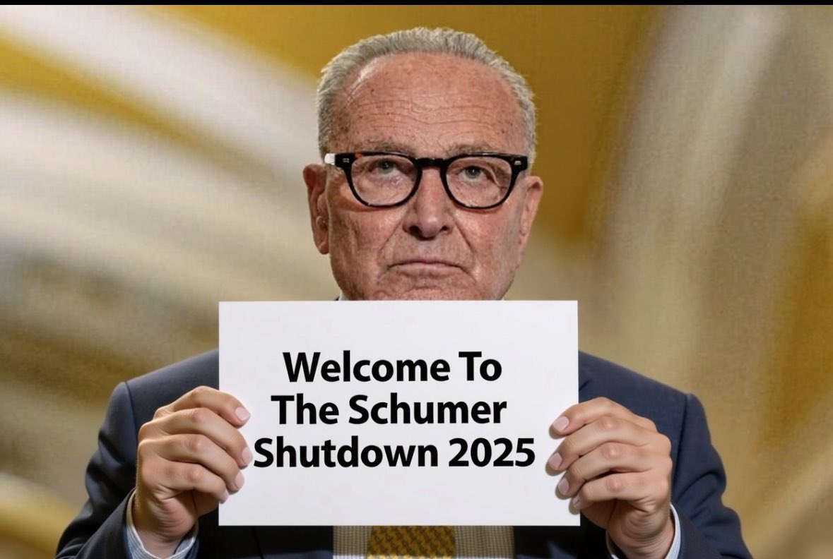 gopTODD's tweet image. 1/ Just a friendly reminder that democrats think you’re stupid. They shut down the government to try to force the GOP to extend the COVID era subsidies for Obamacare. Senate republicans voted ten times to reopen the government until 8 Democrats finally joined with them this week.