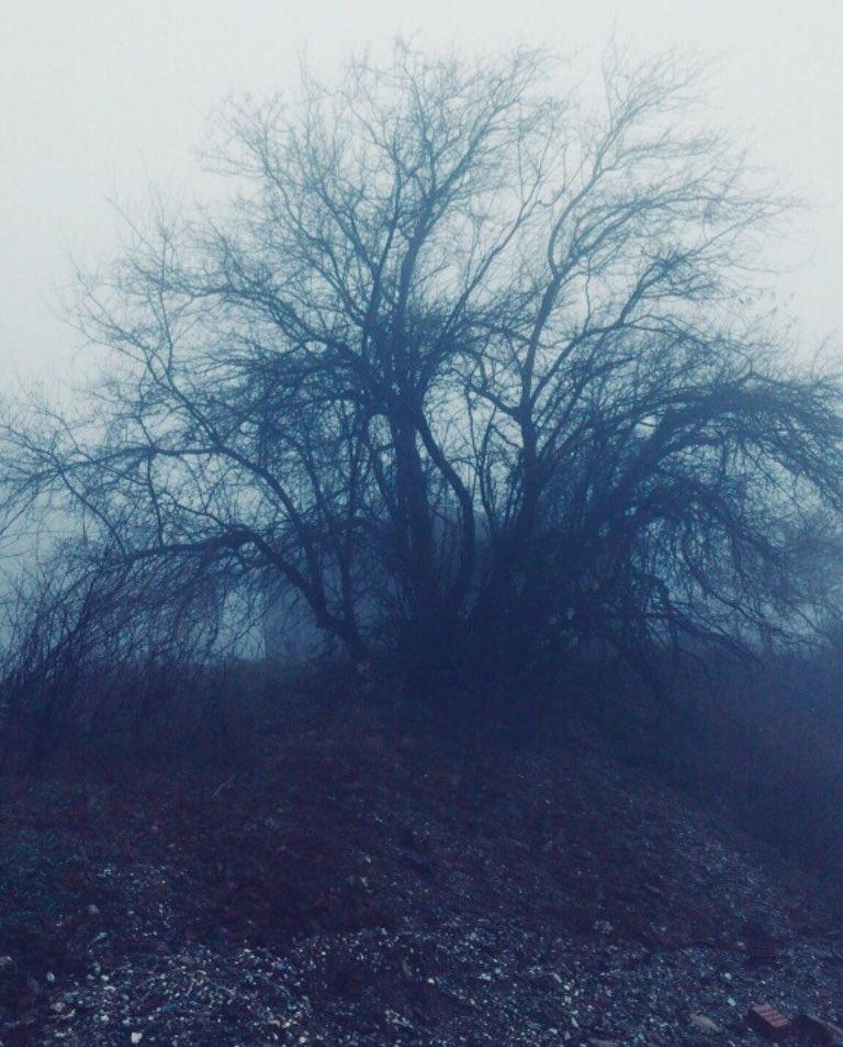 Beni burda birakin🫠🫠🫠 Sis bayiliyorum.
An.