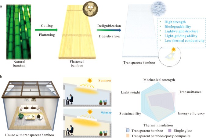 J_Bio_Bioprod's tweet image. Wu et al. develop #biodegradable #transparent #bamboo with a dense and ordered structure, achieved through selective #delignification followed by #directional pressing to #align #cellulose #nanofibrils
DOI: 10.1016/j.jobab.2025.11.001
sciencedirect.com/science/articl…