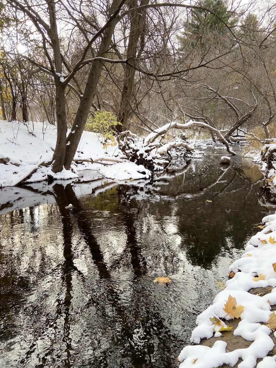 Good morning, happy Thursday 😊