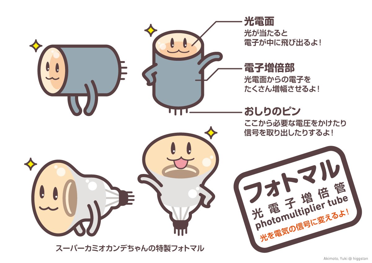 光電子増倍管ちゃん
#ガリレオX #ひっぐすたん