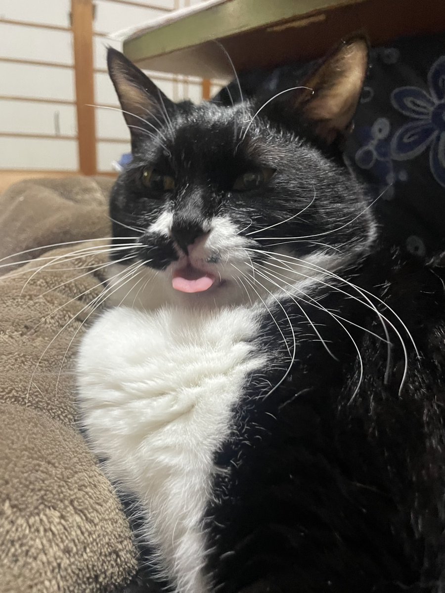 のろのろな野呂 (@ilikeinst) on Twitter photo 