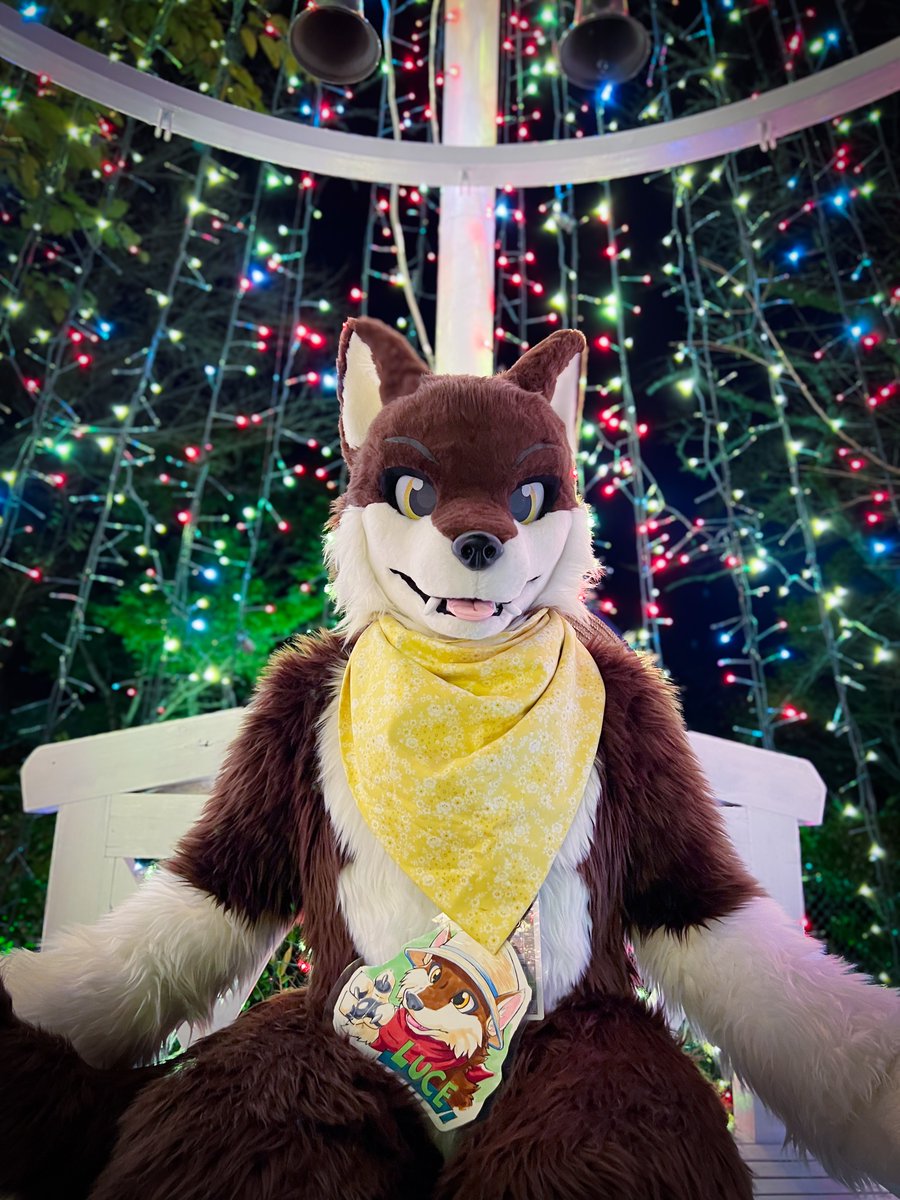 JUN@wanderer tweet media