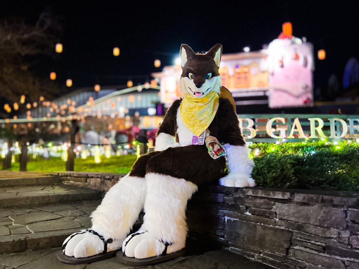 JUN@wanderer tweet media