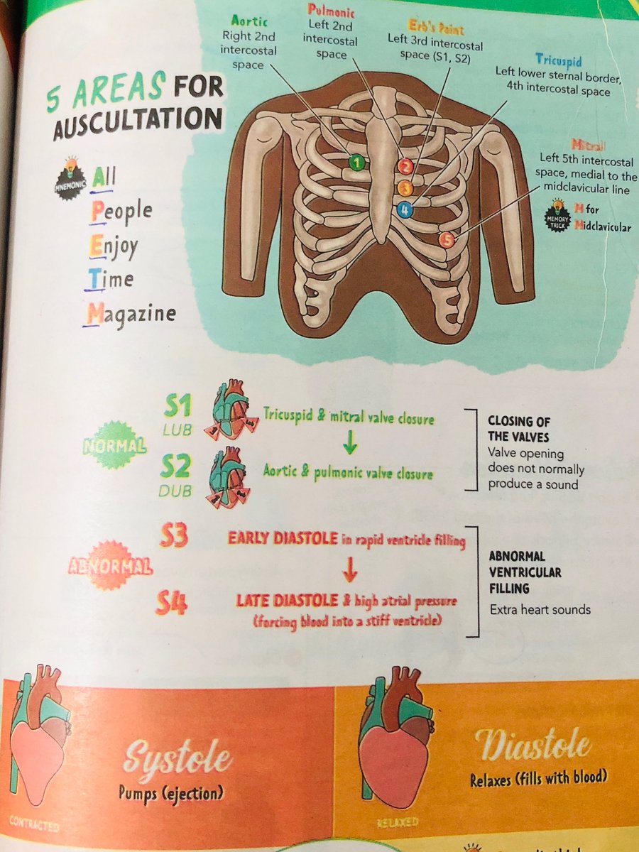 BSNursing12's tweet image. 🫀 Auscultating Heart Sounds
Learn the 5 areas for heart auscultation — Aortic, Pulmonic, Erb’s Point, Tricuspid, and Mitral — using the mnemonic “All People Enjoy Time Magazine.”

#HeartSounds #Auscultation #NursingStudy #BSNursing #BSNursingWithJehan