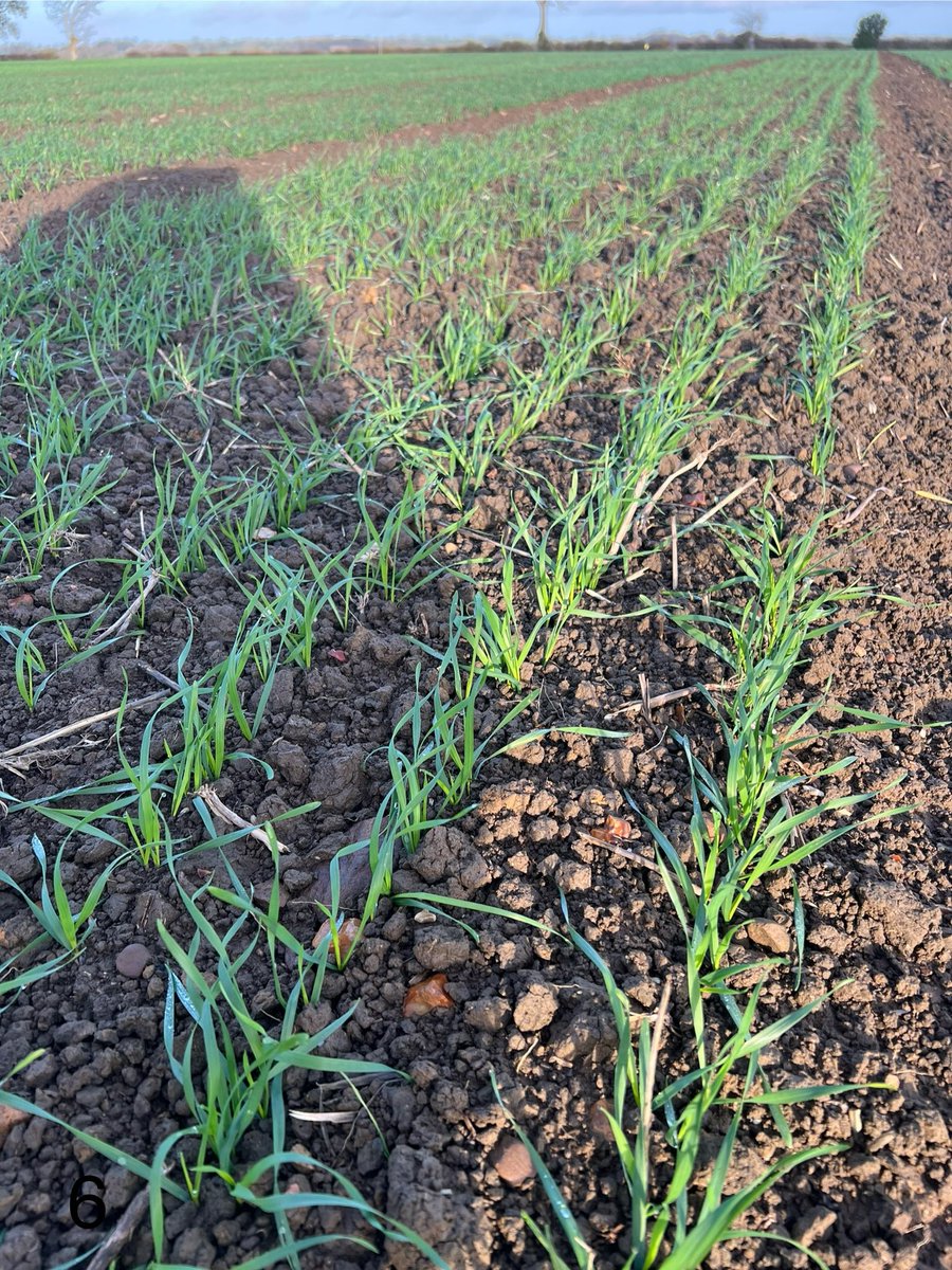 Rob Stuart tweet media