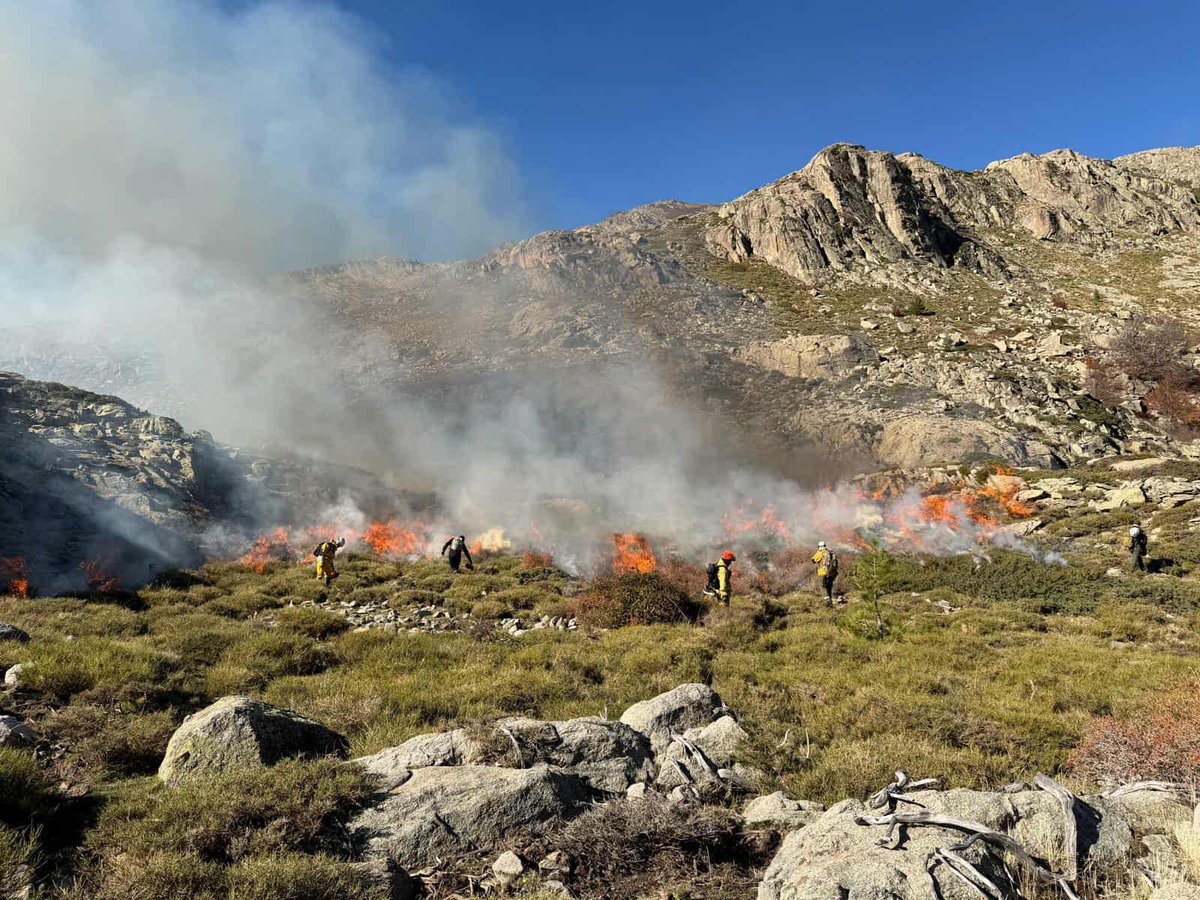 sis_2b's tweet image. 🔥 Début de la saison de brûlage pour les équipes #Forsap2B et #SIS2B dans le #Niolu.
2 journées en montagne, 5 chantiers, près de 180 ha traités 🌿Objectifs : prévention #DFCI et réouverture des estives 🐑Merci aux agents mobilisés !
#BrûlageDirigé #Pastoralisme @IsulaCorsica