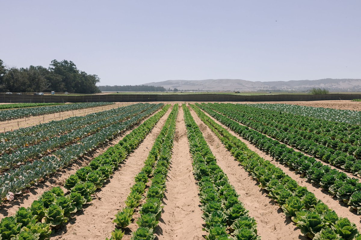 Windfall Bio tweet media