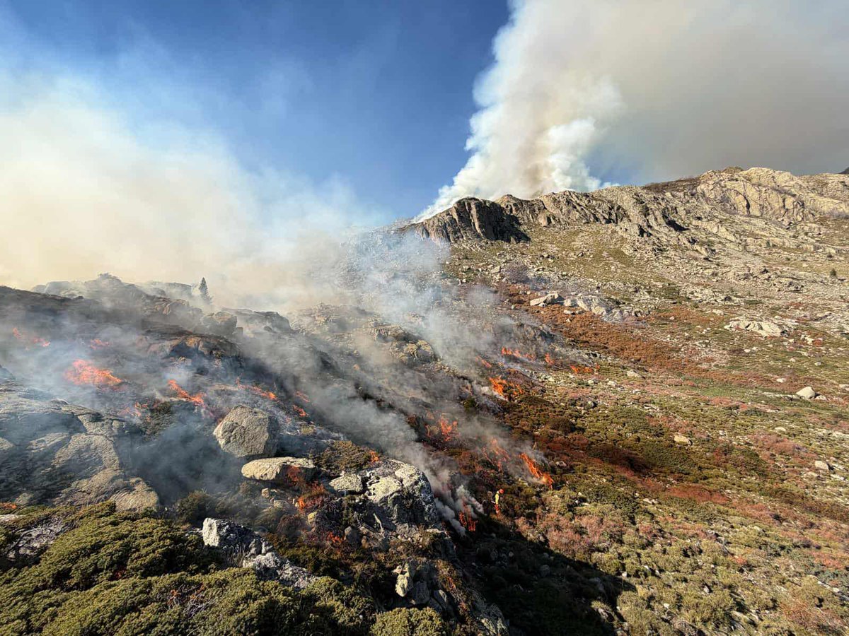 sis_2b's tweet image. 🔥 Début de la saison de brûlage pour les équipes #Forsap2B et #SIS2B dans le #Niolu.
2 journées en montagne, 5 chantiers, près de 180 ha traités 🌿Objectifs : prévention #DFCI et réouverture des estives 🐑Merci aux agents mobilisés !
#BrûlageDirigé #Pastoralisme @IsulaCorsica