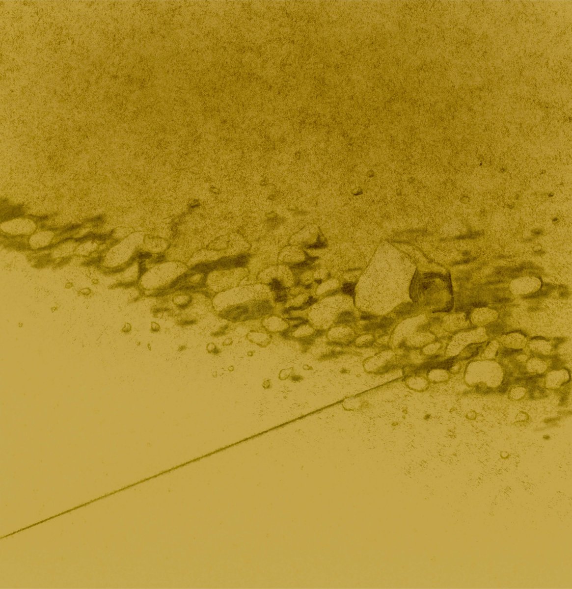 Otherwise Magazine tweet media