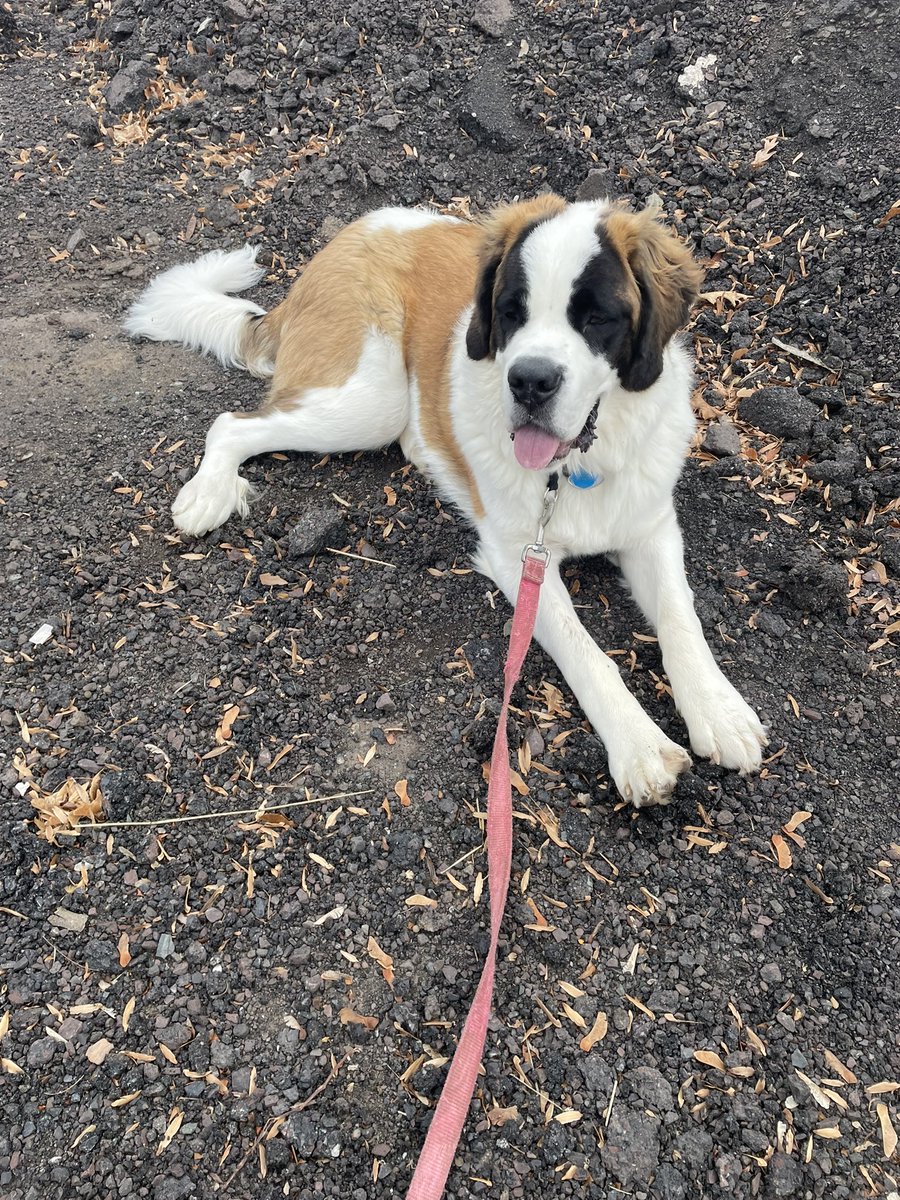 Jennifer Kling tweet media