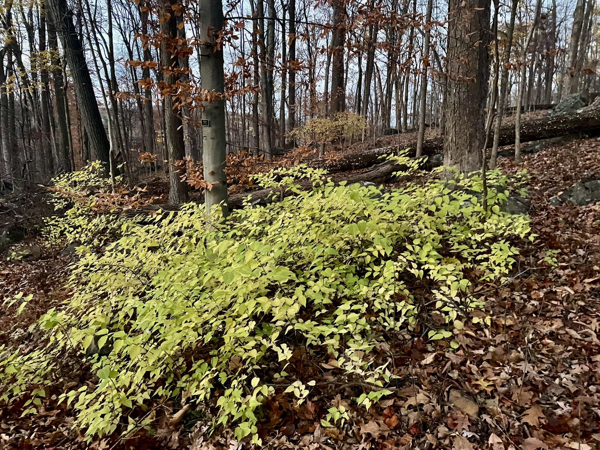 Jennifer Kling tweet media