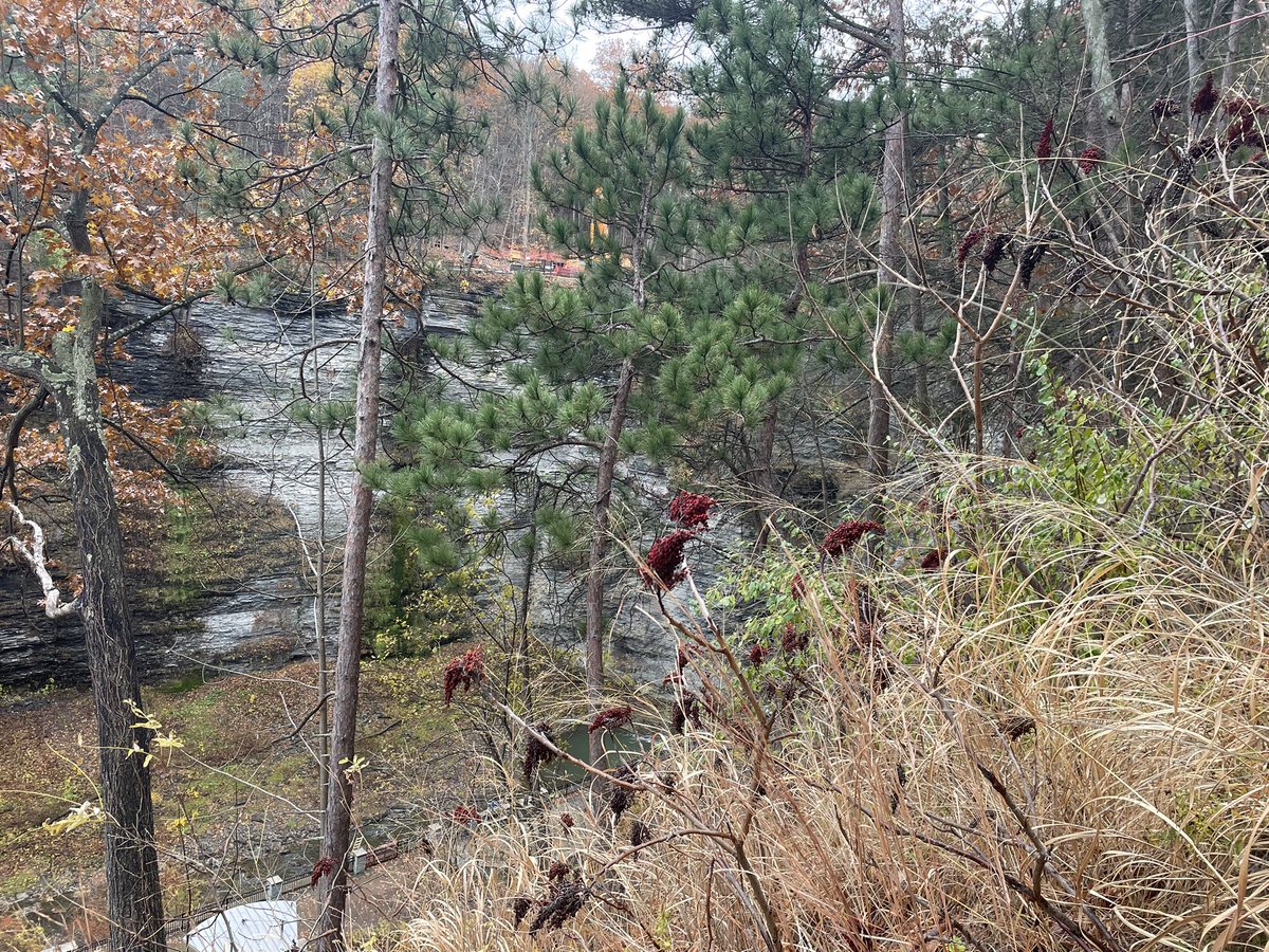 Jennifer Kling tweet media