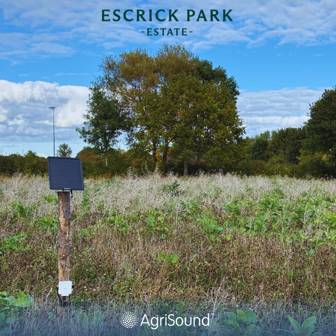AgriSoundTech's tweet image. Yorkshire’s buzzing with innovation 🐝🌍
AgriSound &amp;amp; Escrick Park Estate launch a 2-year pilot using acoustic tech to monitor pollinators across 7,000 acres.
🔗 hubs.ly/Q03S_MD_0
#Pollination #BNG #SmartFarming #AgriSound #EscrickParkEstate