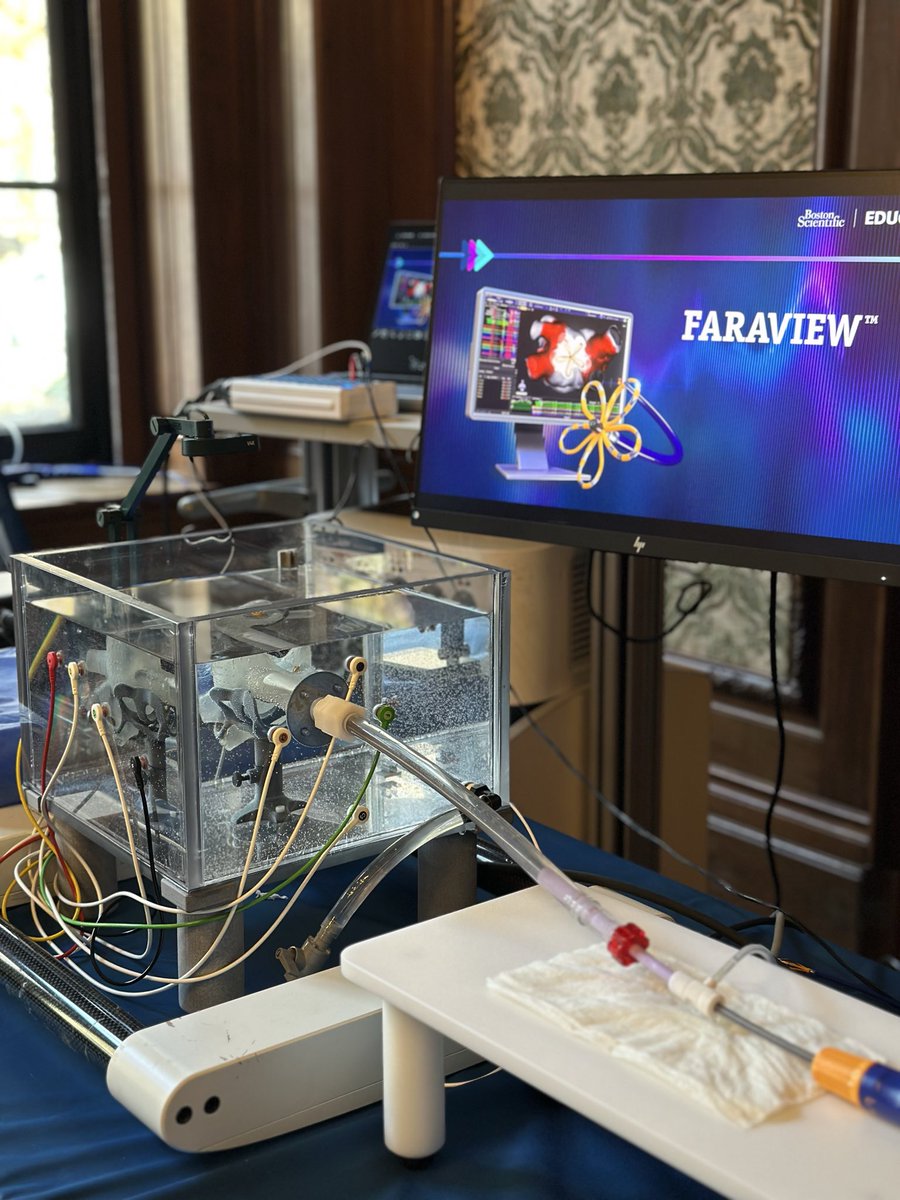 Lublin_EP tweet media