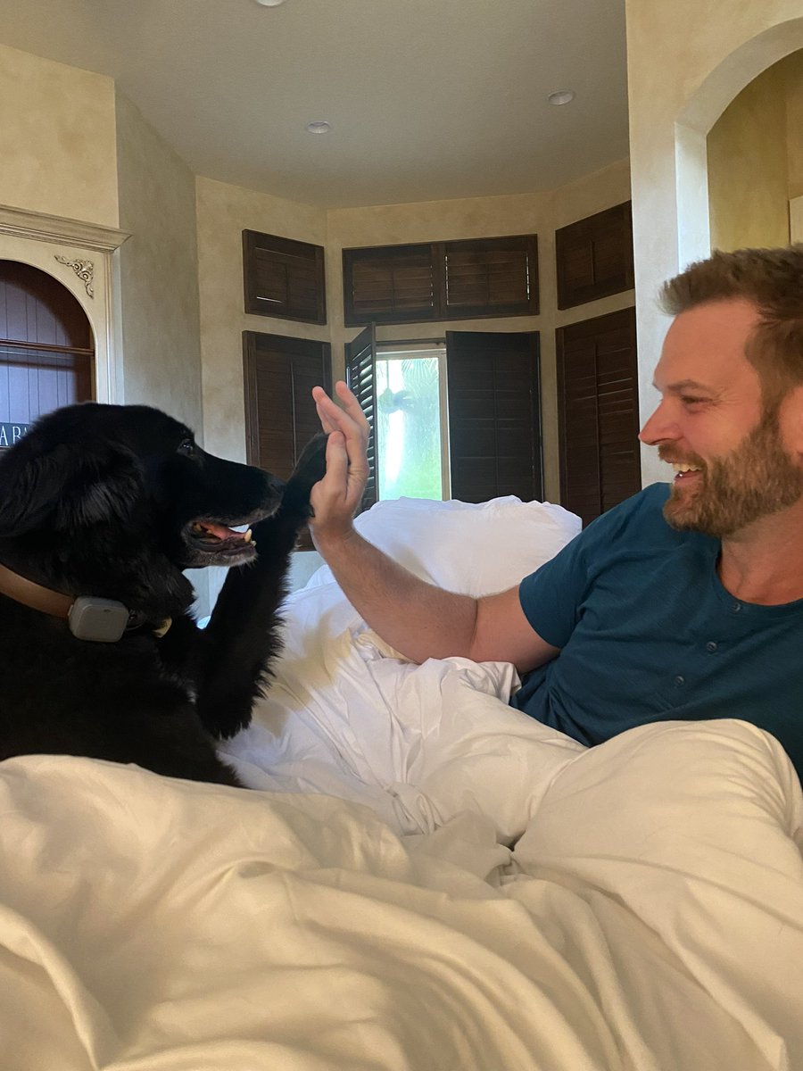 Landon Swan tweet media