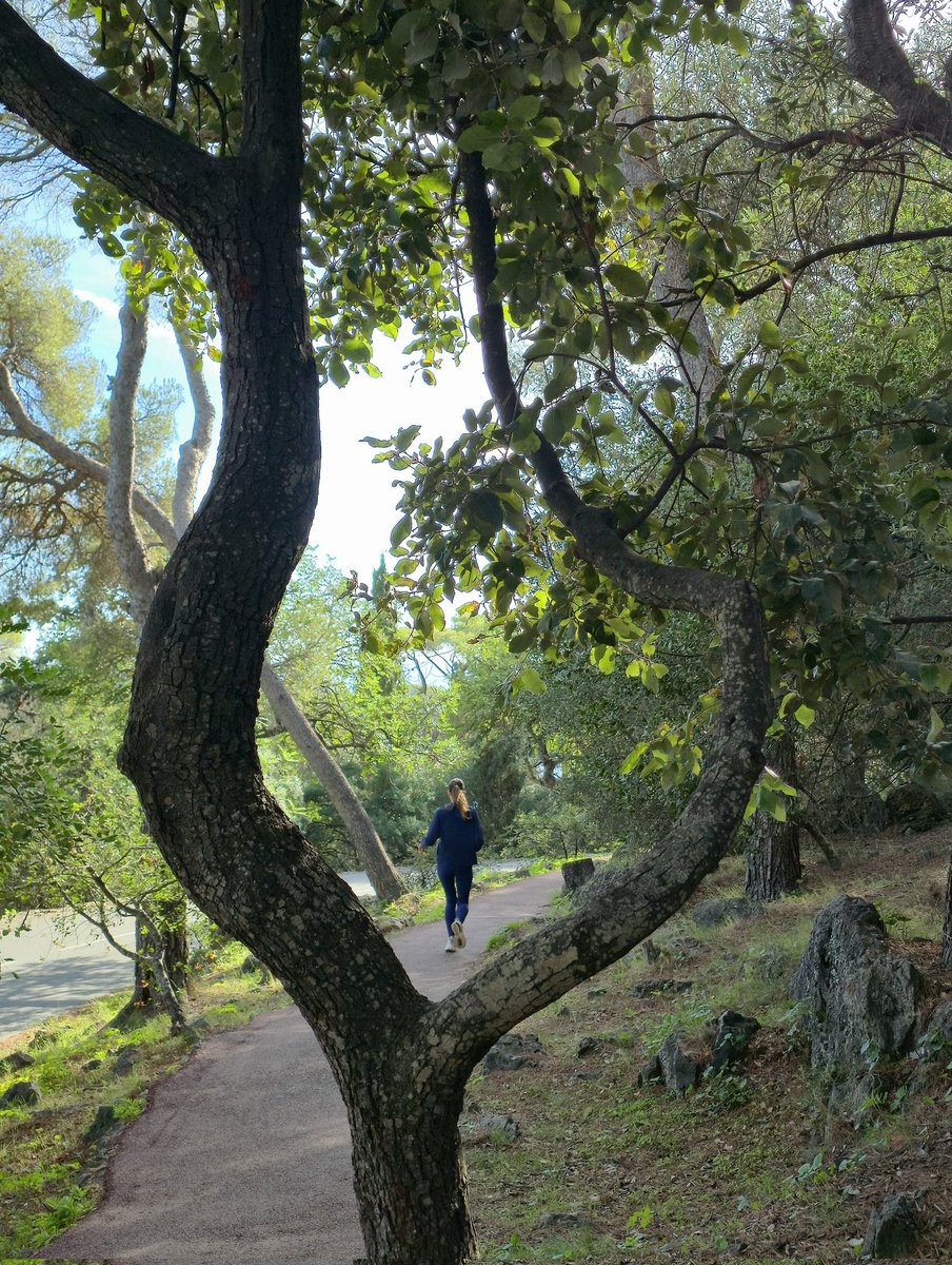 cd_land's tweet photo. #Baladesympa sur le Mont Boron à Nice. 🚶♀️🏃
#ExploreNiceCotedAzur #sentiers #forêt #CotedAzurFrance https://t.co/hKsRE7QDwM