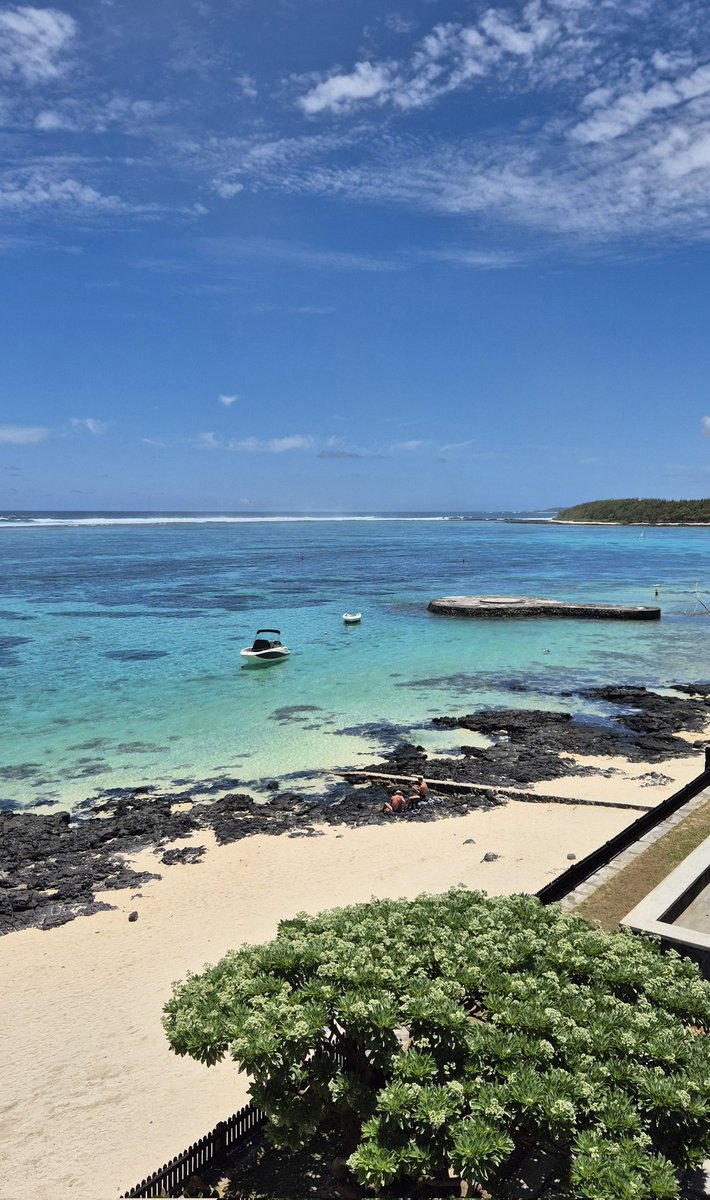 steffersline's tweet photo. Utsikten från terassen XXL. Den här utsikten är MAGNEFIK!#bluebay #mauritius 🇲🇺 https://t.co/IDDveCu2Zn