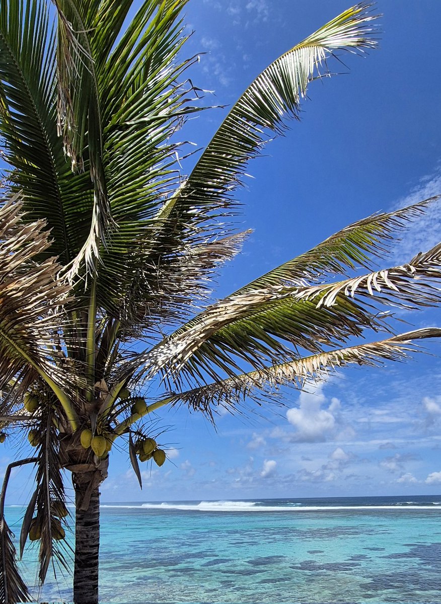 steffersline's tweet photo. Utsikten från terassen XXL. Den här utsikten är MAGNEFIK!#bluebay #mauritius 🇲🇺 https://t.co/IDDveCu2Zn