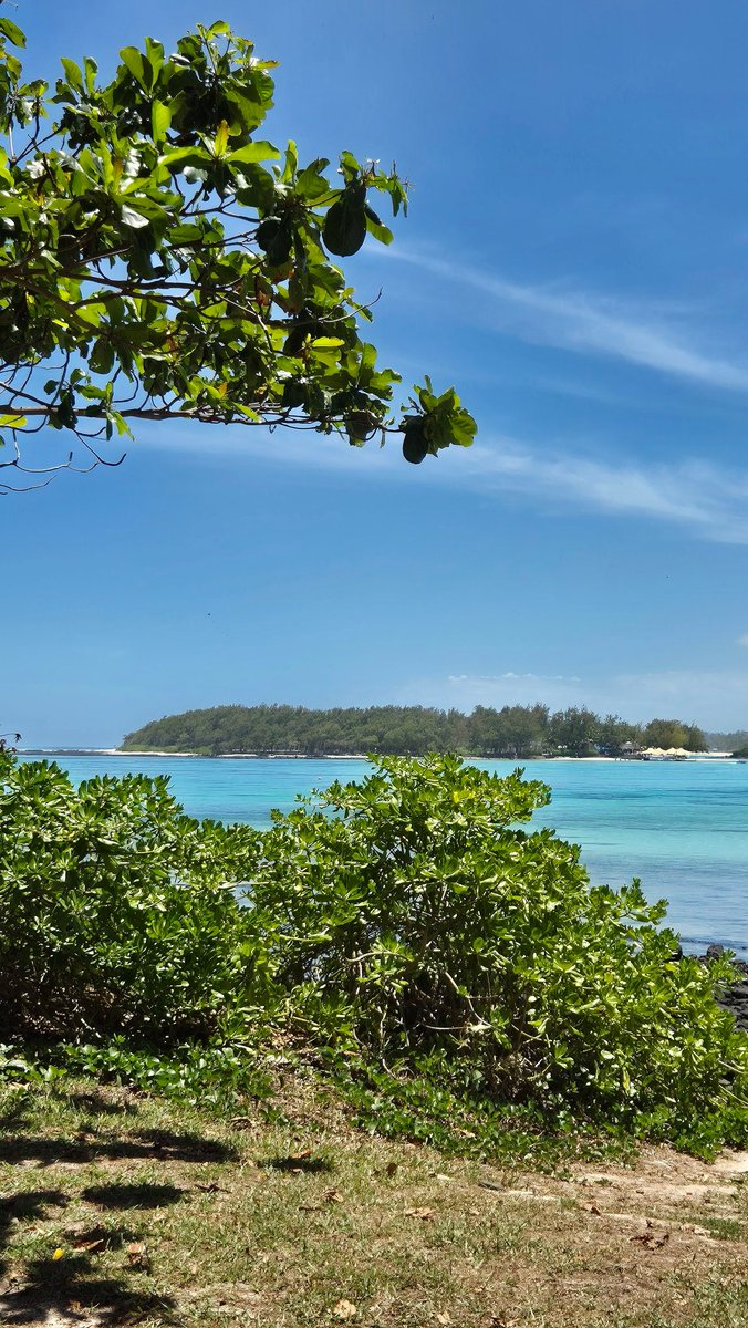 steffersline's tweet photo. Utsikten från terassen XXL. Den här utsikten är MAGNEFIK!#bluebay #mauritius 🇲🇺 https://t.co/IDDveCu2Zn