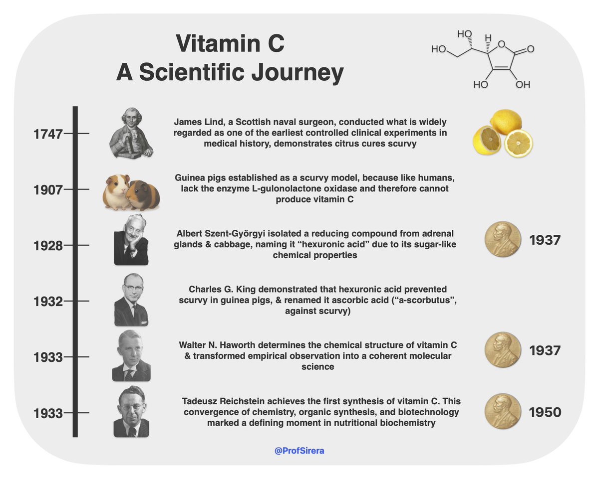 ProfSirera's tweet photo. Key scientists involved in the discovery, structural elucidation, and synthesis of vitamin C https://t.co/O91lMZ04Wg