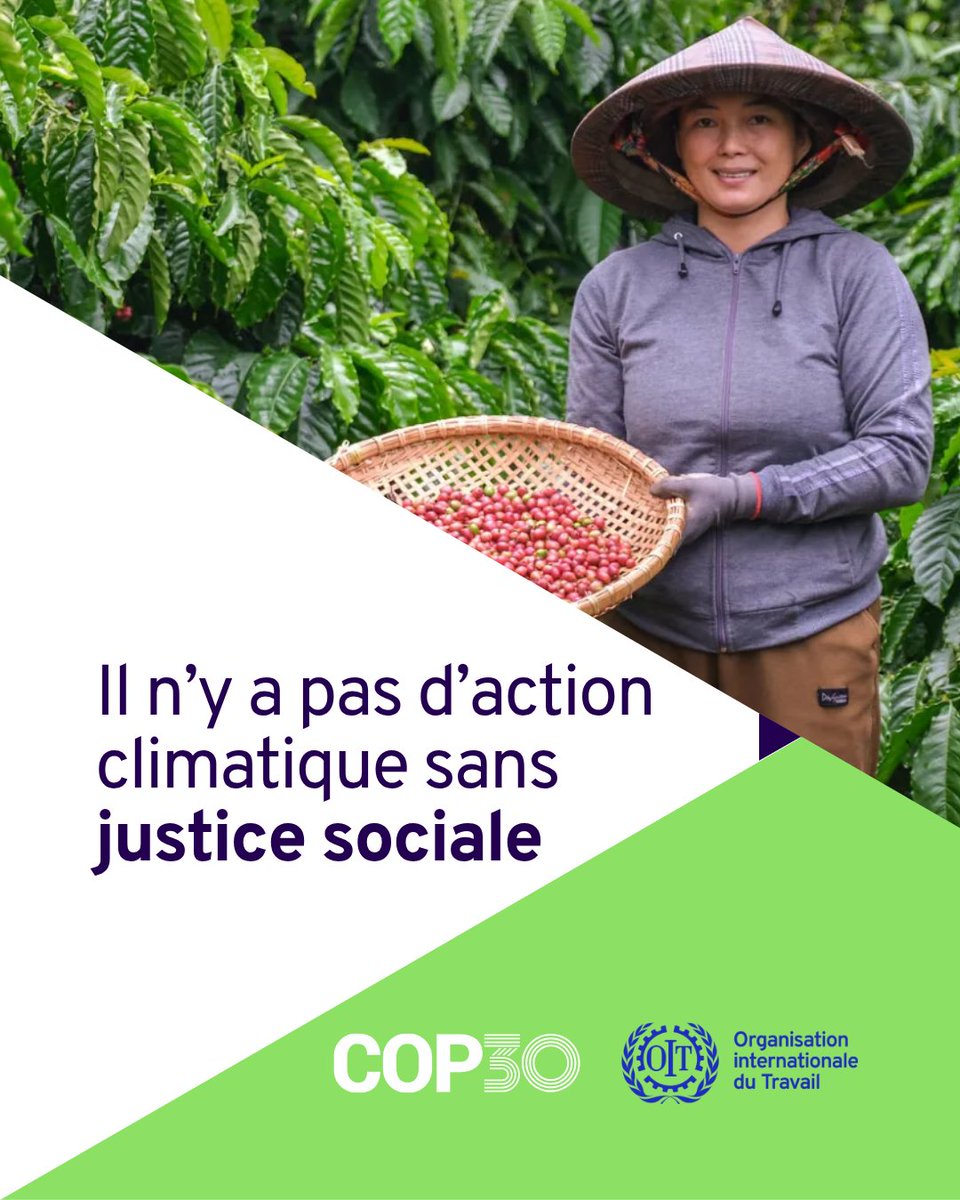 OITinfo's tweet image. 🟢Le changement climatique vous angoisse ?

✅Pour l&apos;@OITinfo, c&apos;est sauver la planète et y construire un avenir meilleur

🌱Une #transition juste, c&apos;est transformer l&apos;ambition climatique en millions d&apos;emplois décents &amp;amp; plus de justice sociale

🟩tinyurl.com/6vmandt3  #COP30