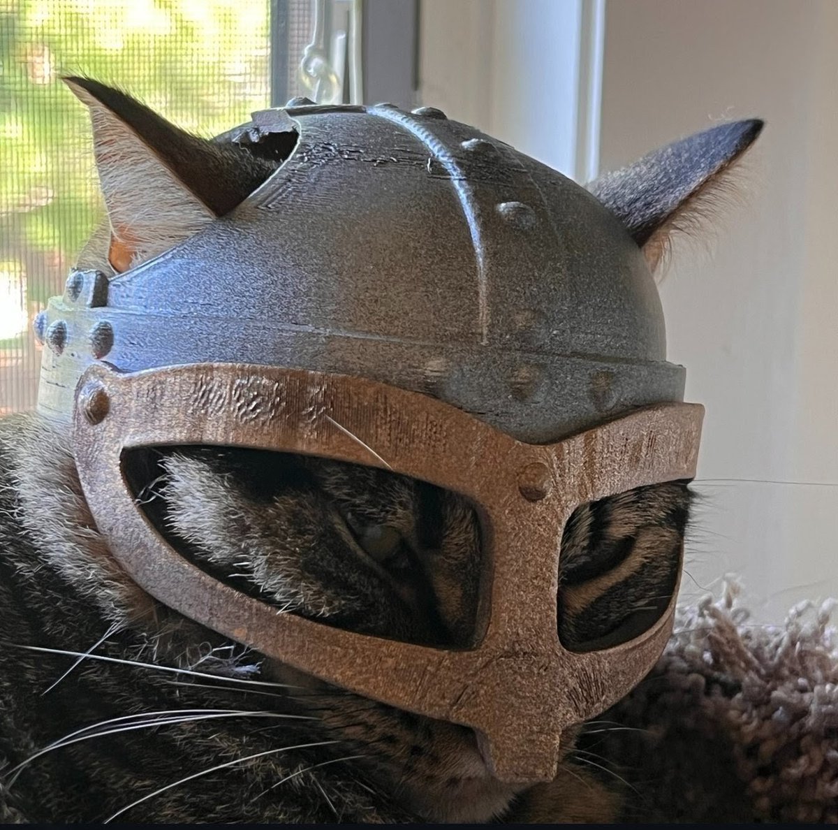 PierreSpeed's tweet photo. @TableQuestJDR I'M READY ! https://t.co/1HfyhRcbLA