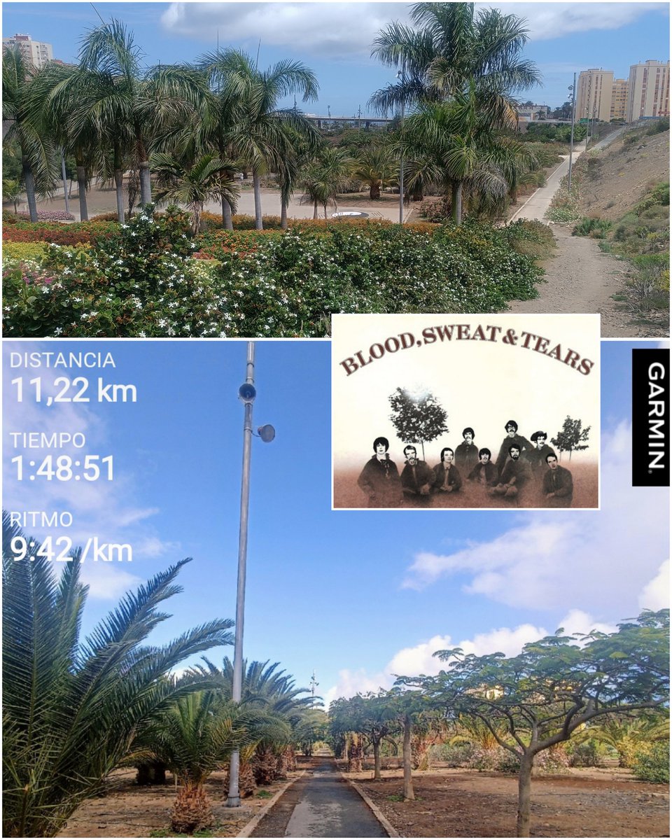 BiciGranCanaria's tweet photo. 👣👉🏻🏃🏻‍♂️#5k
Al parque a trotar
🌳#ParqueDeLaBallena
🌤️#MeteoGC🕤🌡️24°
🎧#BloodSweatTears
#LasPalmasDeGranCanaria
#GranCanaria
#Correr #Carrera #CarreraAPie
#Run #Running #Jogging
#Finisher42k
#RunningLife #LoveRunning
#SoyCorredor #IAmRunner
#DIABETESTIPOFREE
#MUÉVETEFRENTEALCÁNCER https://t.co/cTT8xznryq