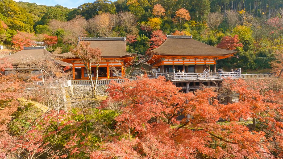 WanderersArchiv's tweet photo. 🇯🇵 Kyoto Kiyomizu-dera &amp; Seikan-ji Temple, Autumn Walk 京都 清水寺 &amp; 清閑寺 2020 [4K Binaural] 

📹️ https://t.co/UEQZlrC6QU via @YouTube 

#京都 #清水寺 #Kiyomizu #Kyoto #京都散歩 #紅葉 https://t.co/t18D5enoij