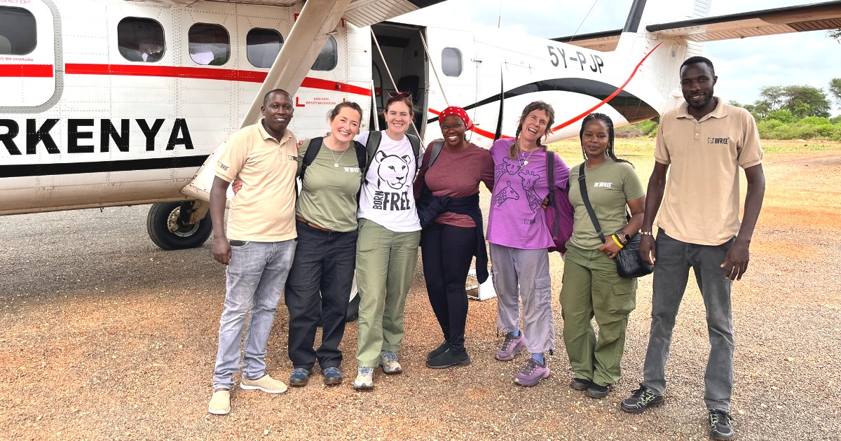 BornFreeKenya's tweet photo. A big thanks to @AirKenyaExpress, our official safari airline sponsor, for getting our team safely to the field.

As the only airline flying to Meru National Park, they are a crucial partner in our conservation work. 🦁 🐘🦒 

#BornFree #AirKenya #MeruNationalPark #Conservation https://t.co/XVrrRm7Gnr