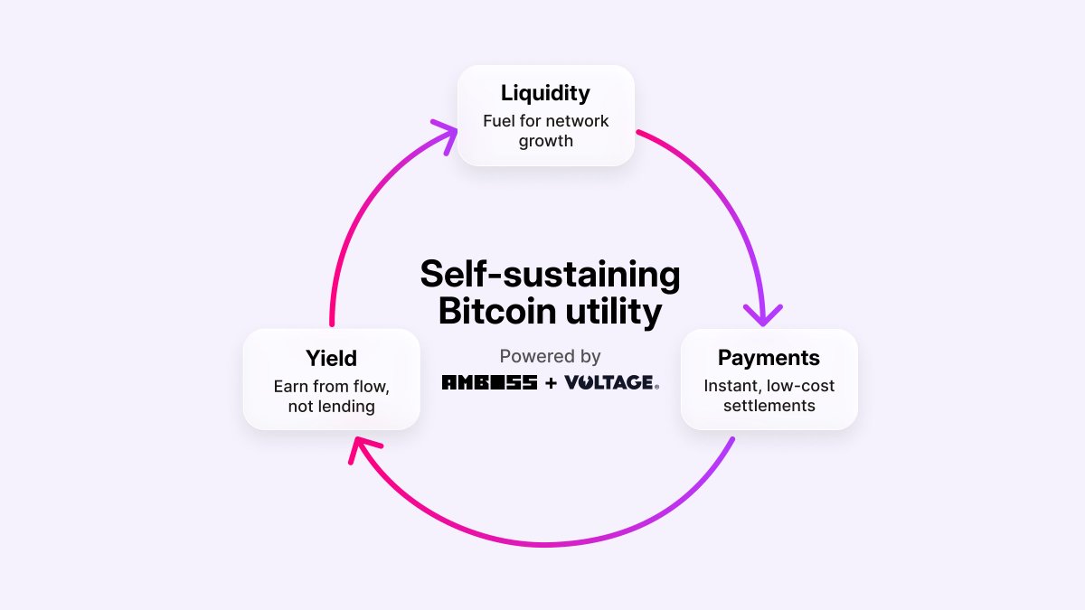 ambosstech's tweet image. The biggest problem in payments today is inefficiency, lost margin, and idle treasury.

The solution: instant, secure, programmable, productive payments — aligning incentives across your business and the Lightning Network.