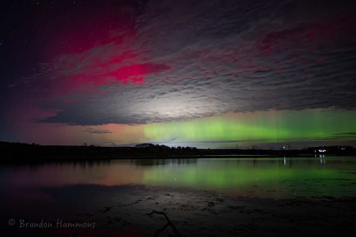 Brandon Hammons tweet media