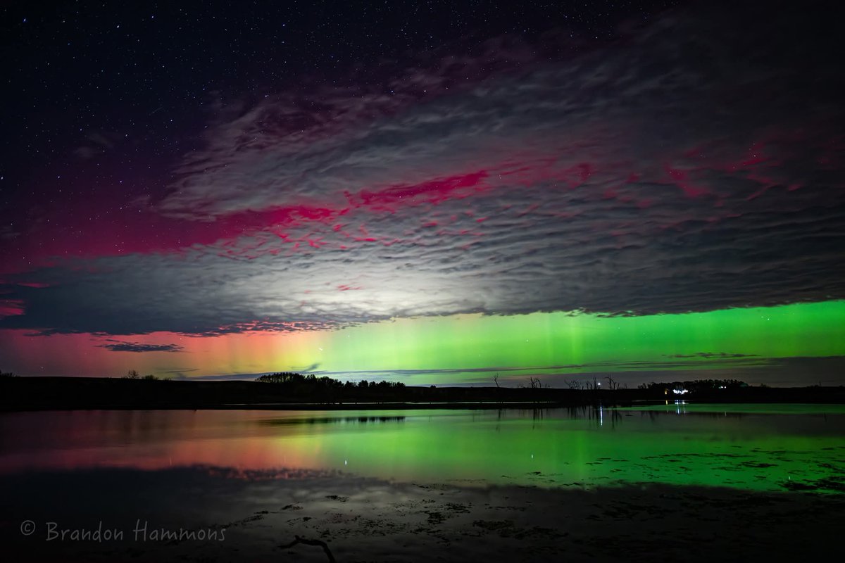 Brandon Hammons tweet media