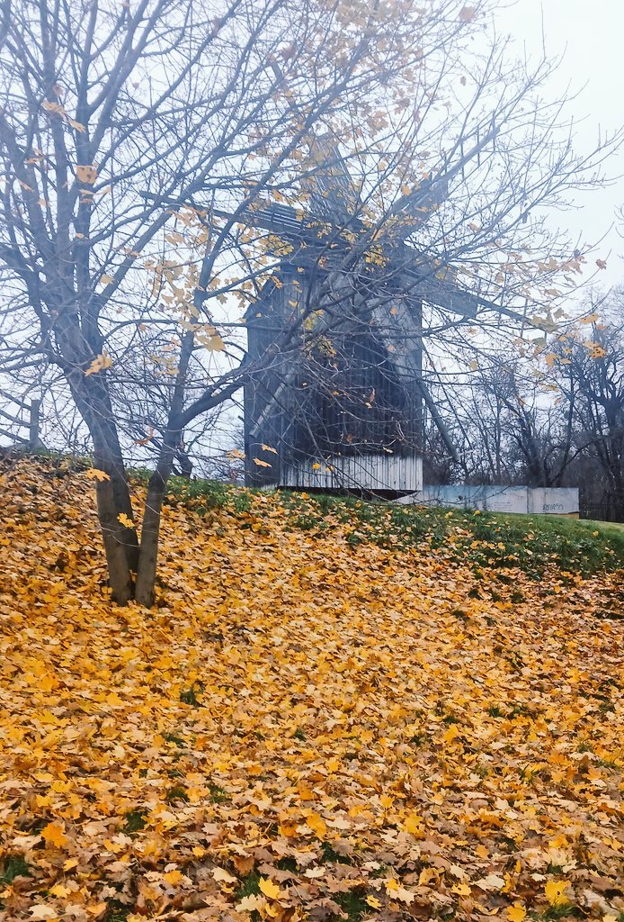 Як стрiла до видноколу
Час у даль летить.
Сипле осiнь вже долу
Барви верховiть...

(можете продовжувати)
