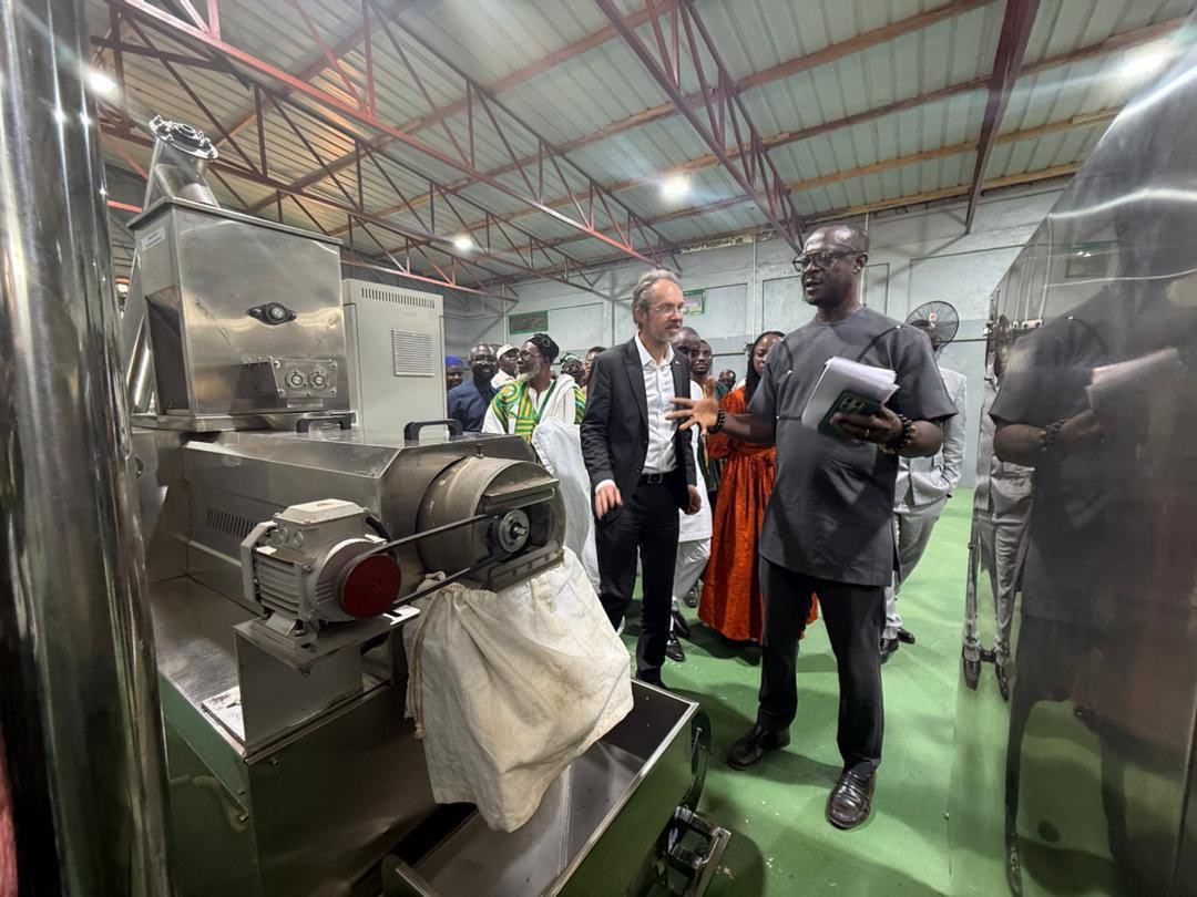 Christian Rogg tweet media