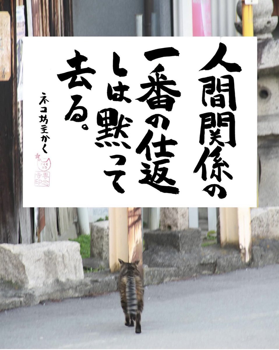 yabumoto610's tweet image. ネコさんから人間さんへ今日の一言